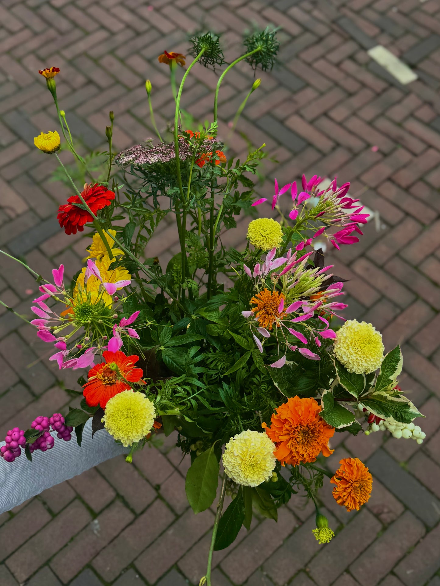 Verse seizoensbloemen