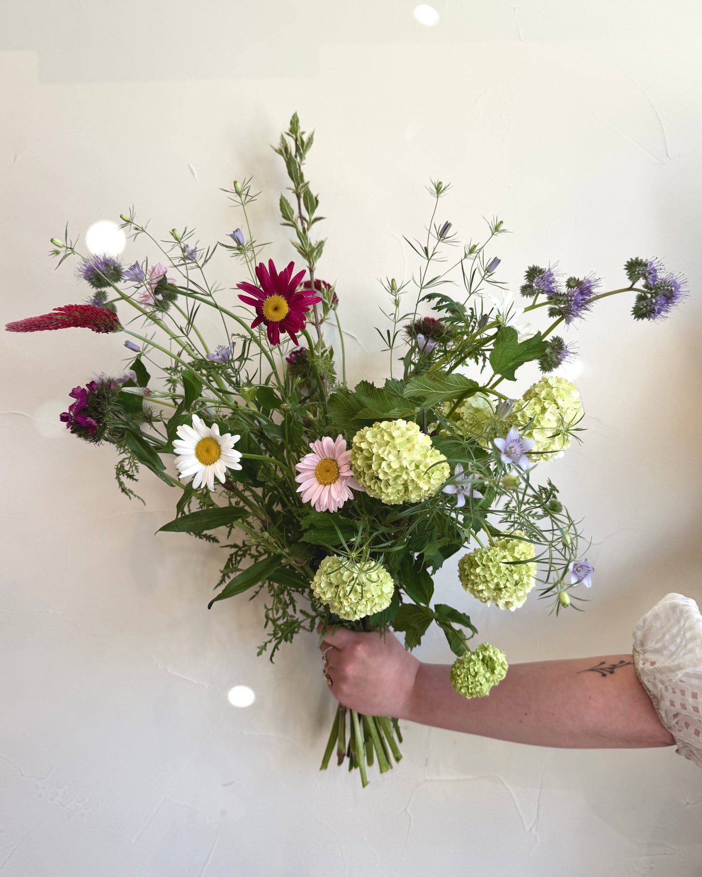 Biologische bloemen gekweekt door lokale kwekers in nederland zonder gif en kunstmest in de volle grond.