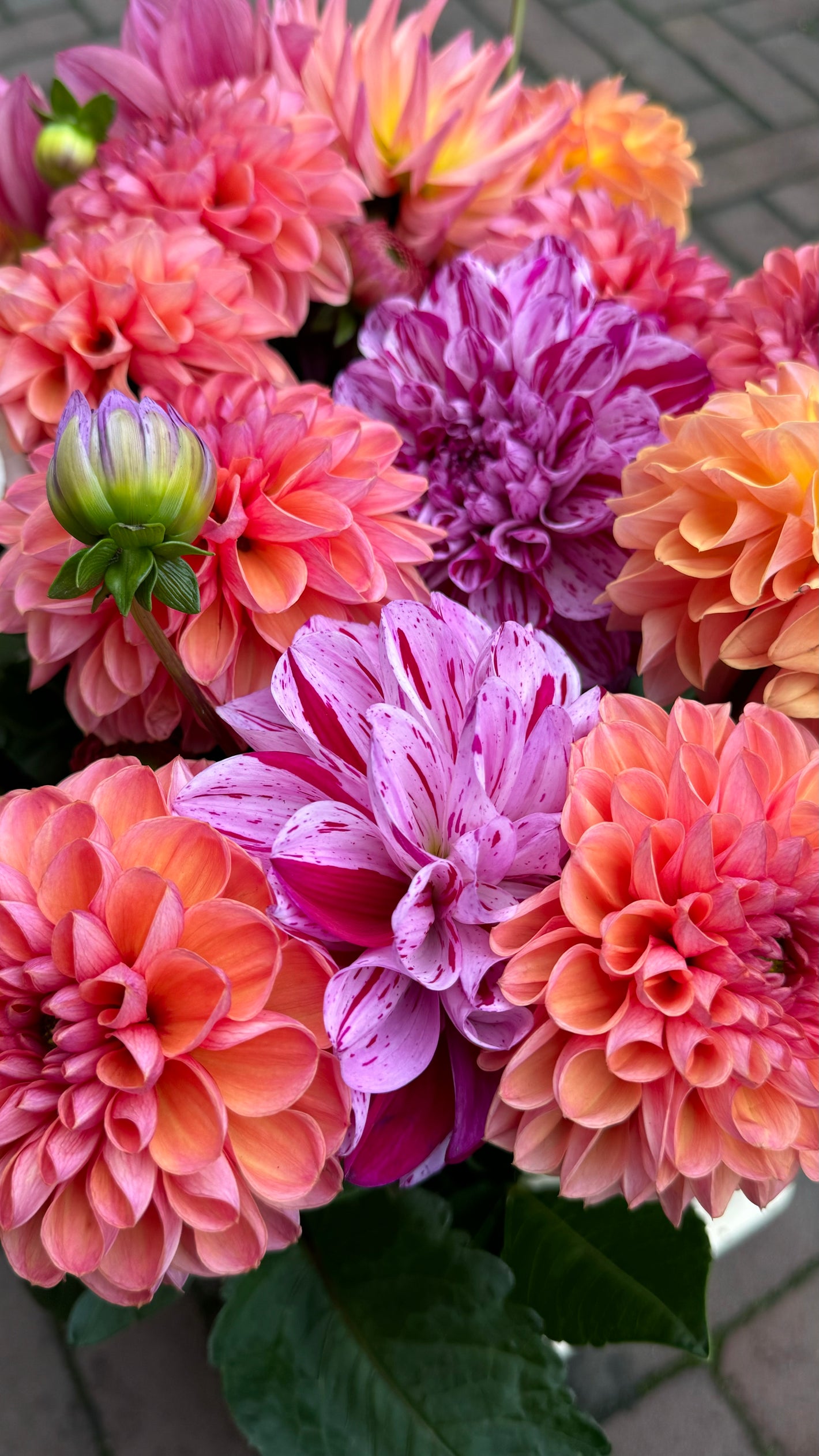 Sustainable and eco-friendly flowers at Fiore Utrecht, perfect for any occasion.