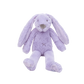 Tiny Rabbit Richie