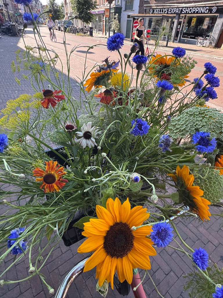 Verse seizoensbloemen
