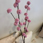 PomPom Branch Small