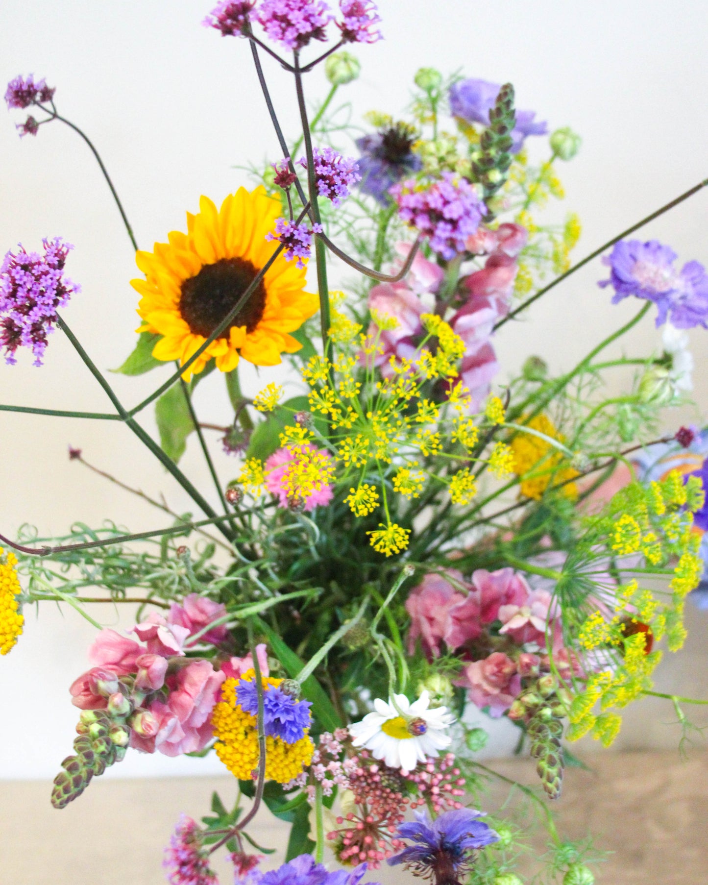 Biologische bloemen gekweekt in de vollegrond zonder gif verkrijgbaar in utrecht