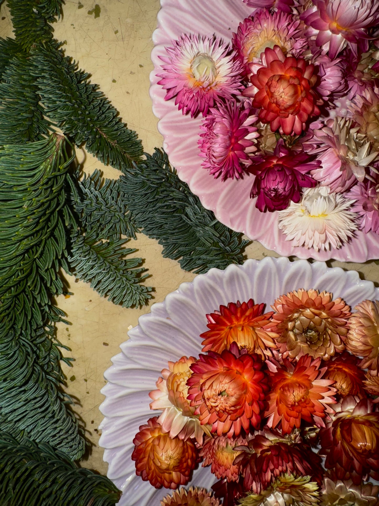 Winterkrans Workshop