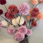 PomPom Branch Big