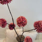 PomPom Branch Small