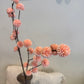 PomPom Branch Small