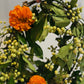 biologische bloemen krans workshop
