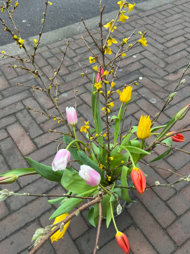 Organic flowers zijn seizoensbloemen zonder gif gekweekt. Biologisch geweekt door telers in nederland op de meest duurzame manier, Utrecht.