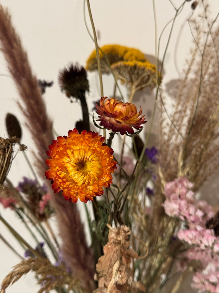 droogbloemen utecht duurzaam en lokaal gekweekt, overgebleven verse bloemen drogen 