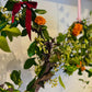 creatieve bio bloemen workshop voor team uitjes en activiteiten in Utrecht